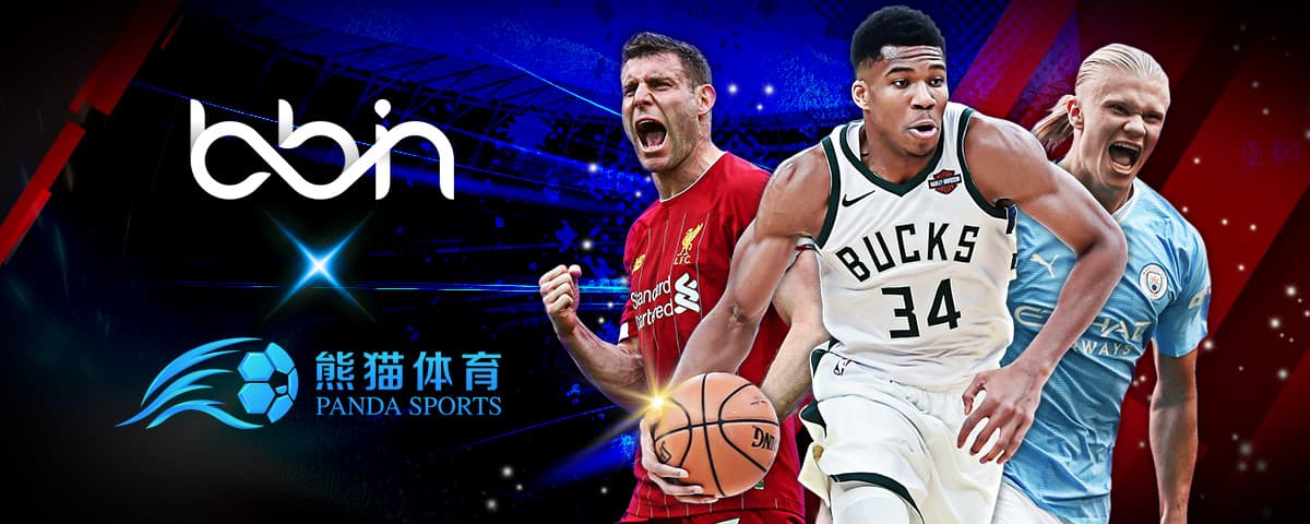 解析其亮点