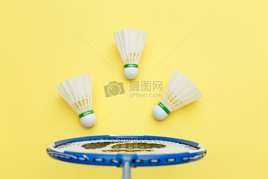 力求在这项 力求在这项